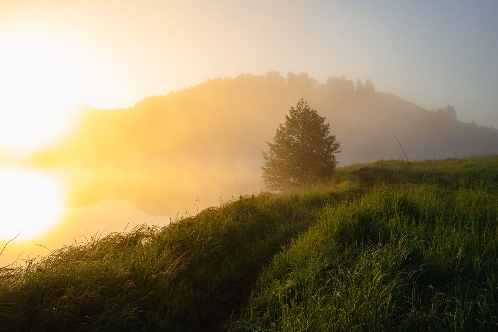 Photograph by Дмитрий Вершинин