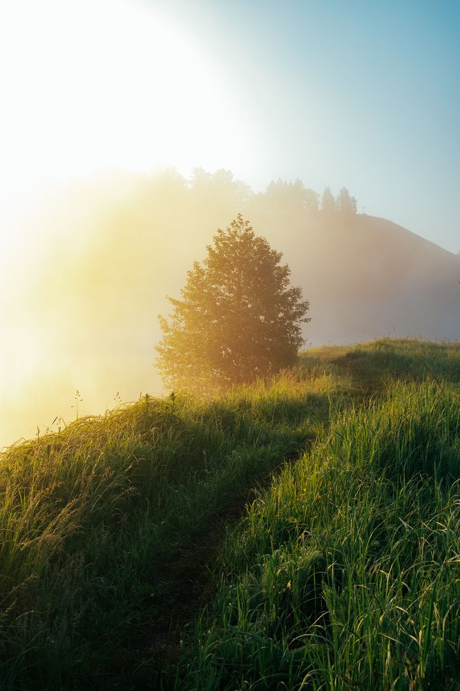 Photograph by Дмитрий Вершинин