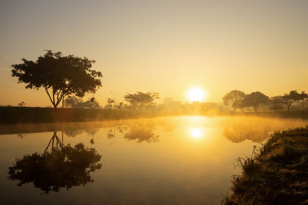 Photograph by Andre Miranda