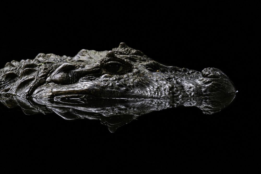 Photograph by Andre Miranda