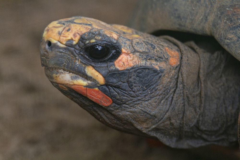 Photograph by Andre Miranda