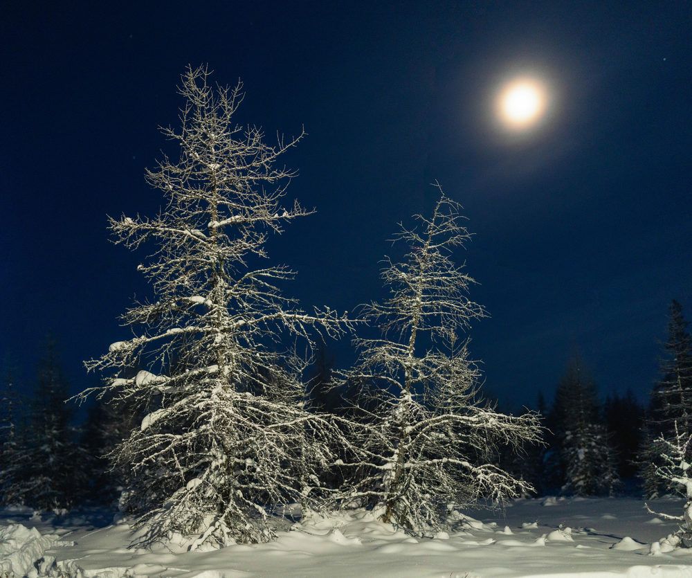 Photograph by Галина Искандарова