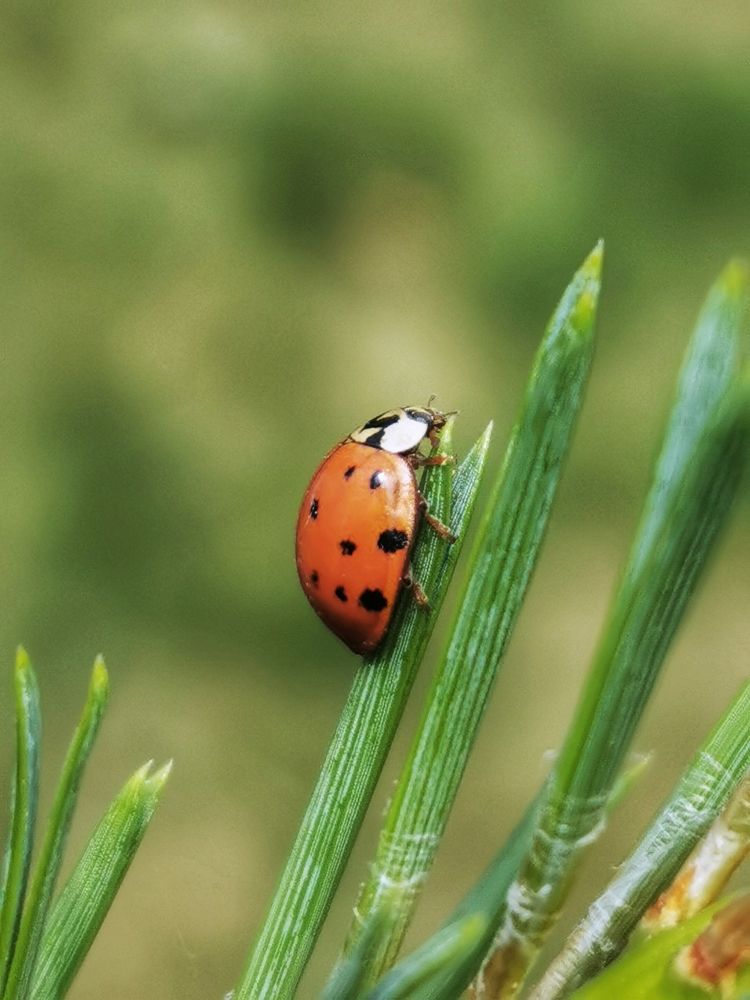 Photograph by Андрей Тур