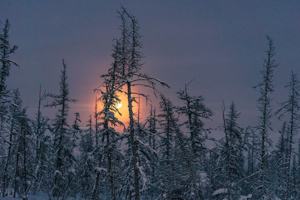 Photograph by Галина Искандарова