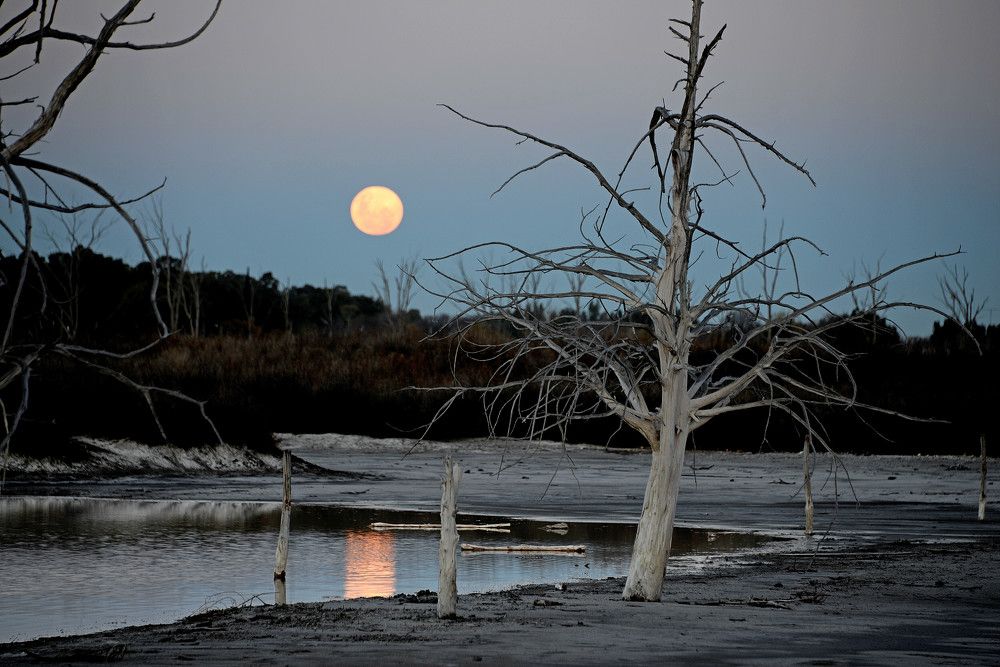 Photograph by Ricardo Kimmich