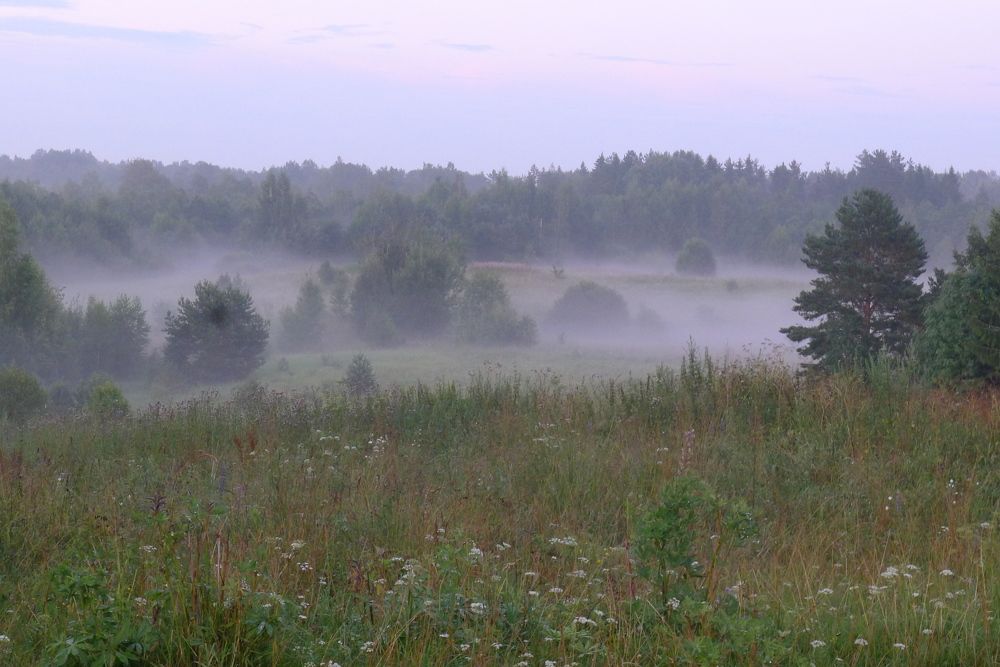 Photograph by Харис Шахмаметьев