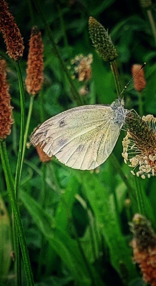 Photograph by Марина Жарикова