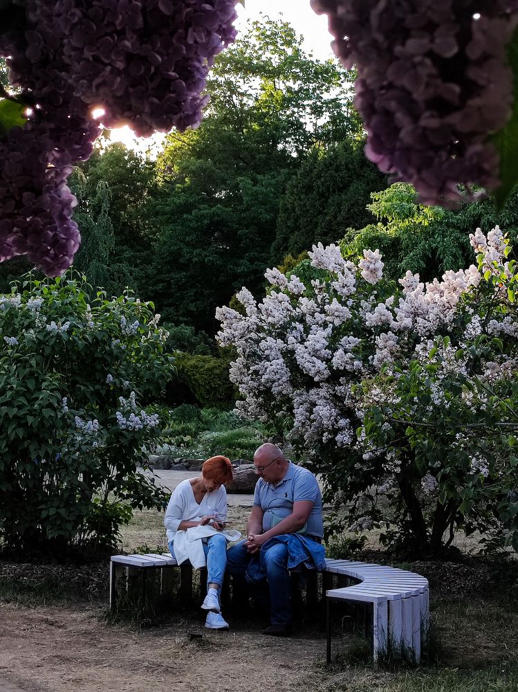 Photograph by Deiltora