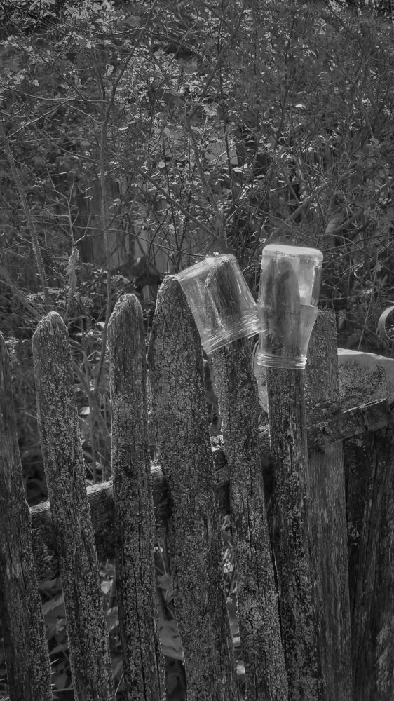 Photograph by Екатерина Николаева