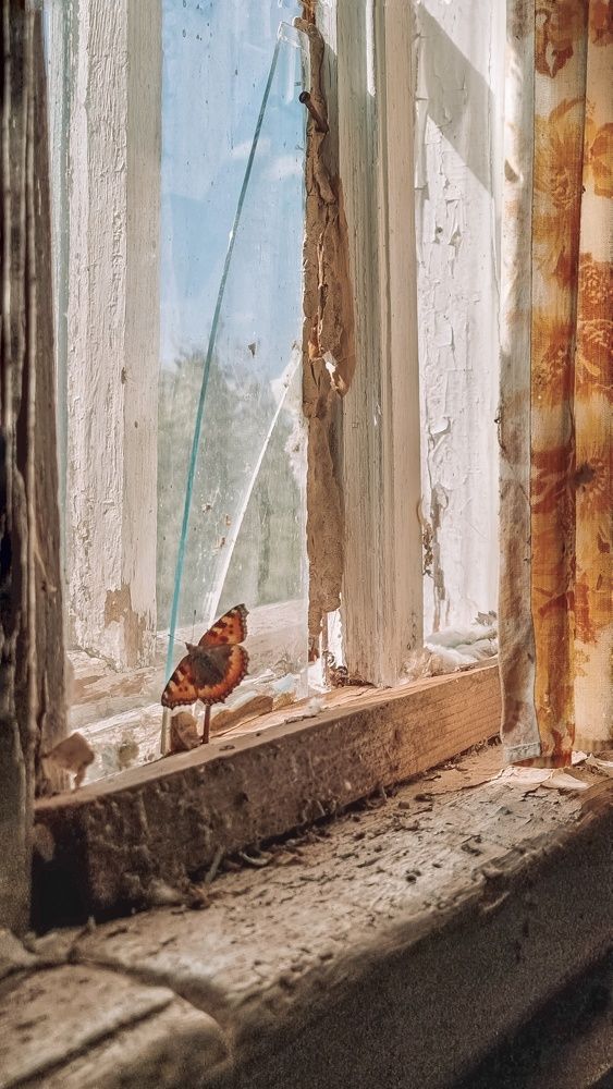 Photograph by Екатерина Николаева