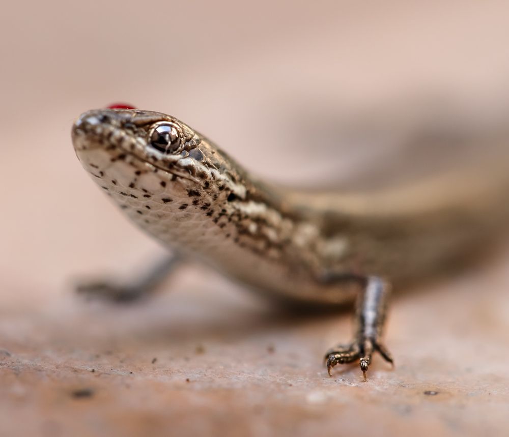 Photograph by Оксана Сафина