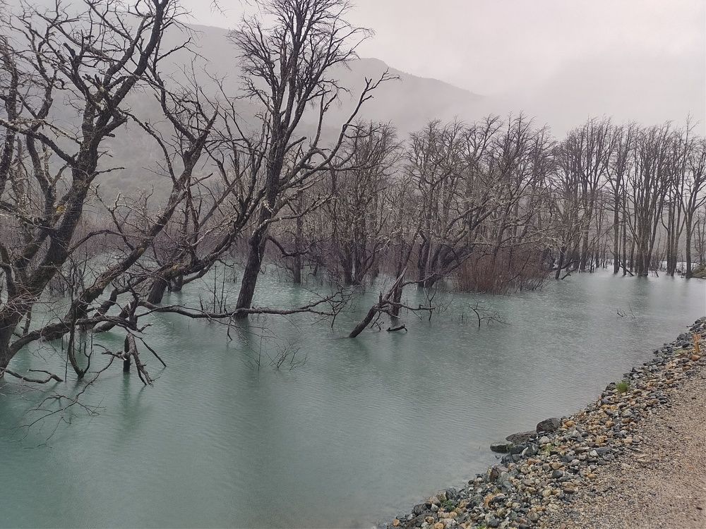 Photo #9214656