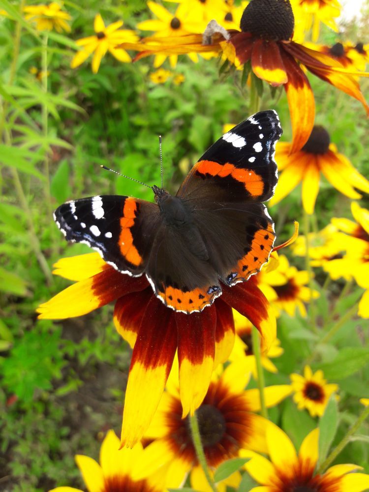 Photograph by Юлия Меркулова