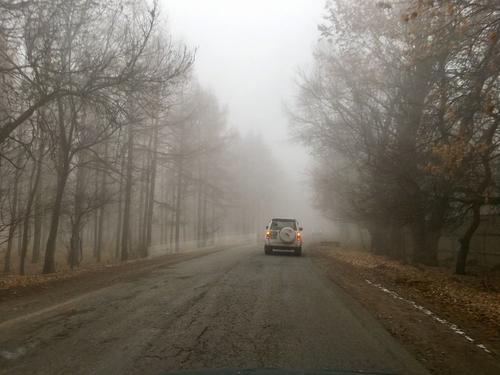 Photograph by Виталий Гибадулин