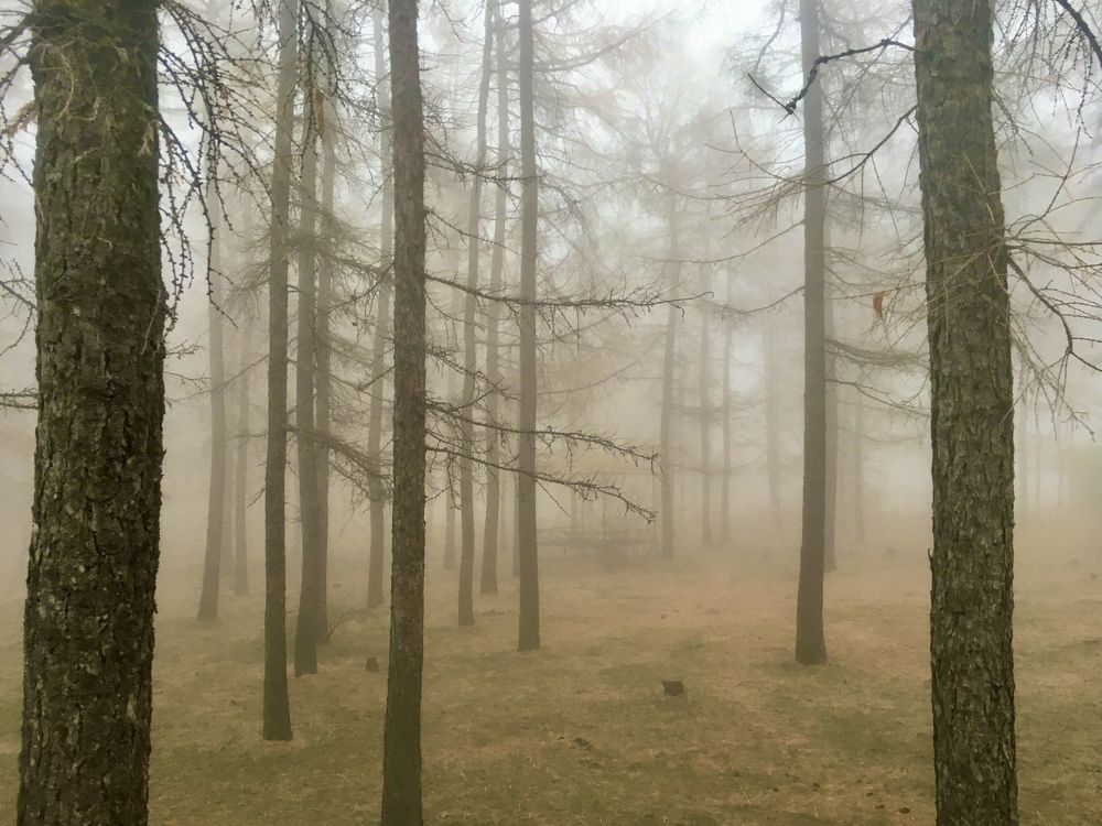 Photograph by Виталий Гибадулин