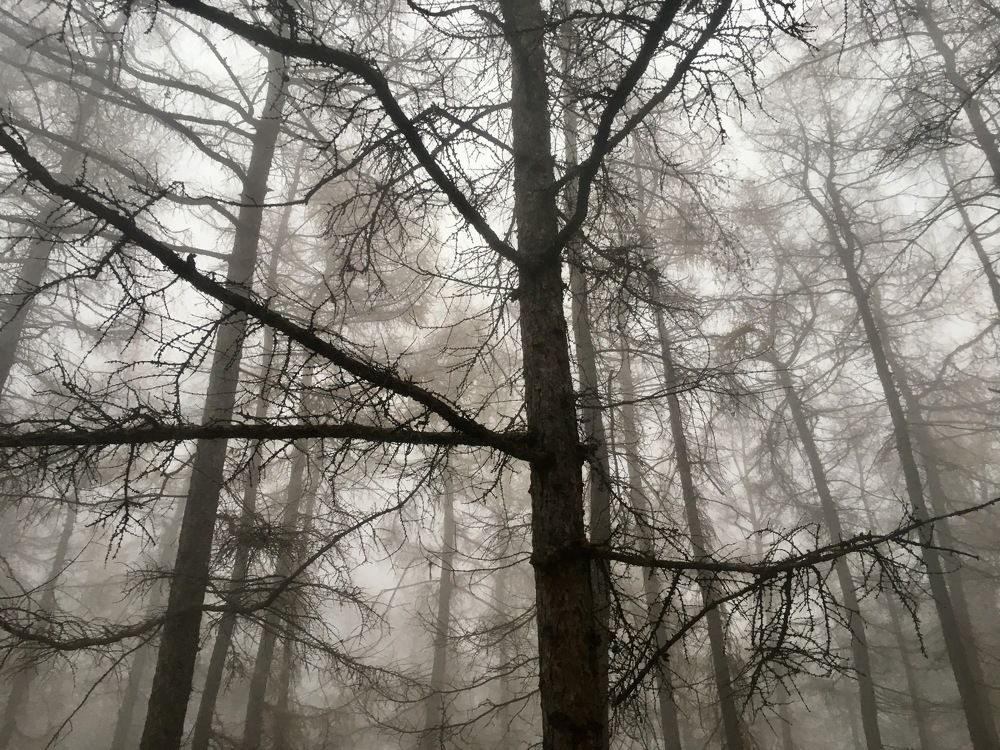 Photograph by Виталий Гибадулин