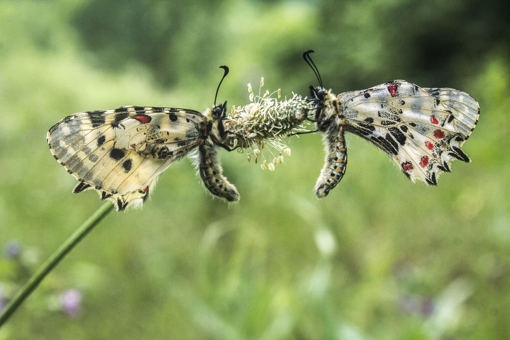 Photograph by iliya levkov