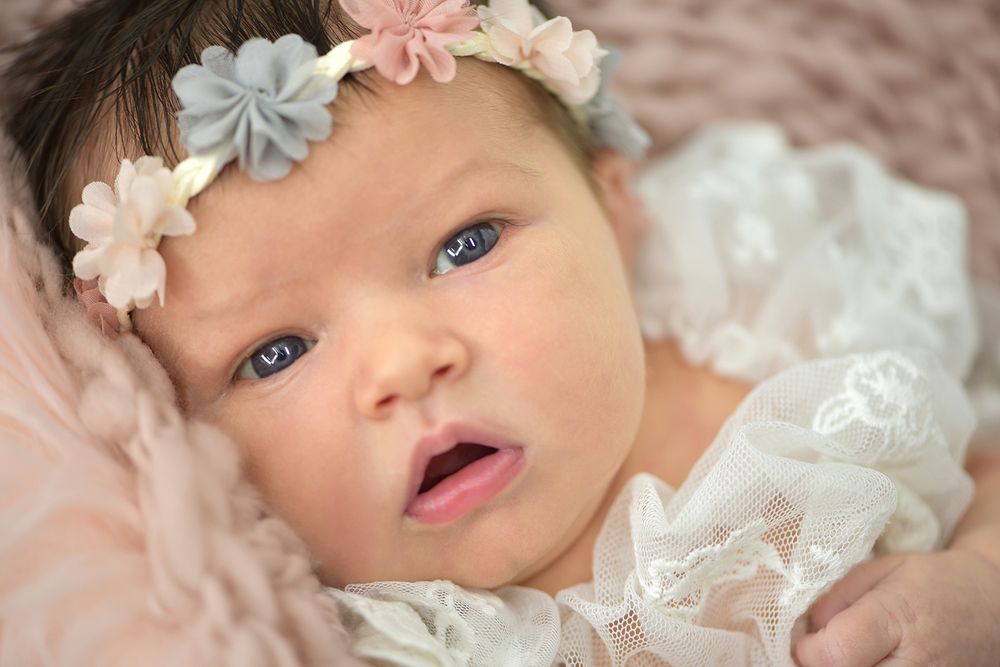 Photograph by Carla Rodrigues