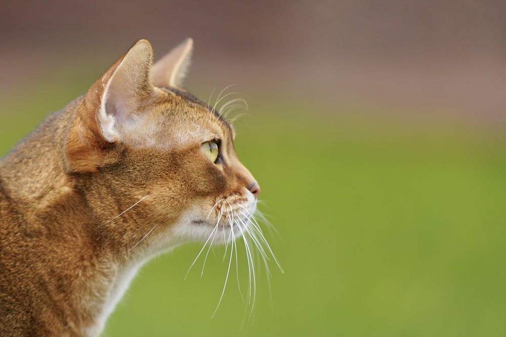 Photograph by Марина Аникина