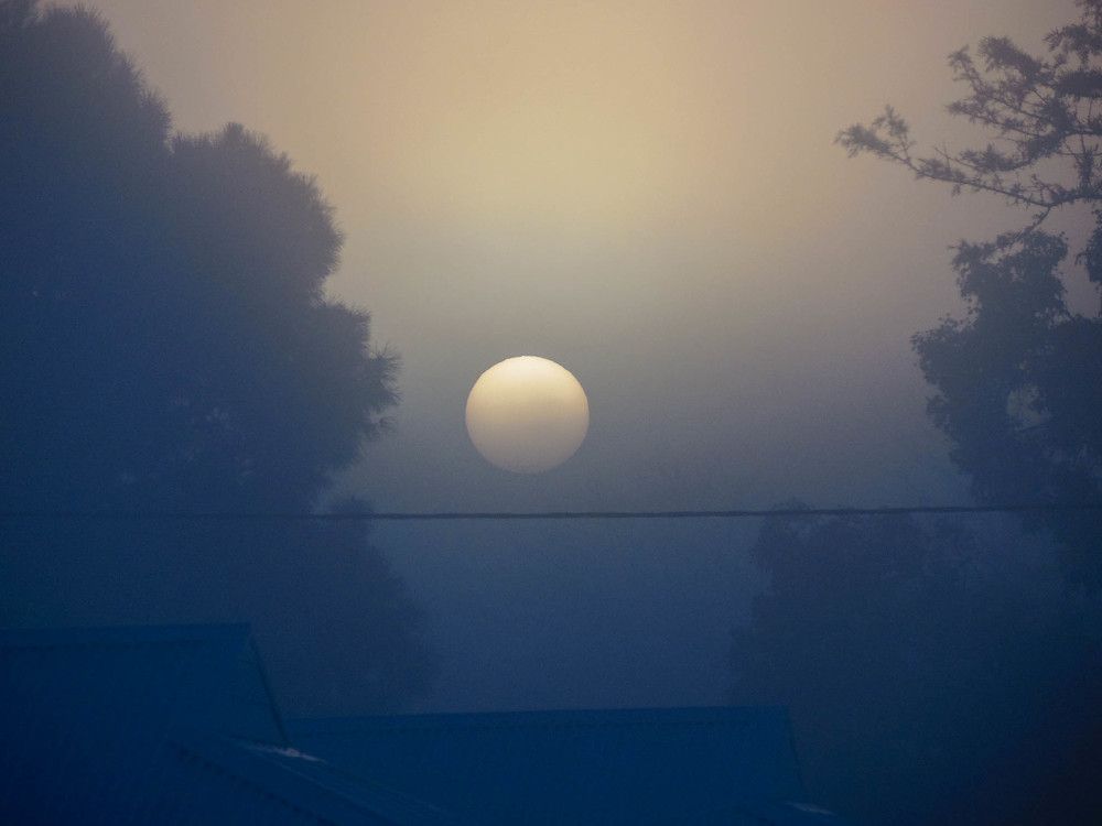 Photograph by Dalene Johnson