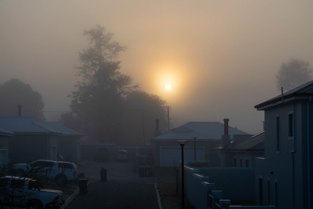 Photograph by Dalene Johnson