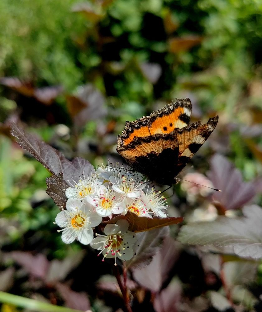 Photograph by Полина Александровна
