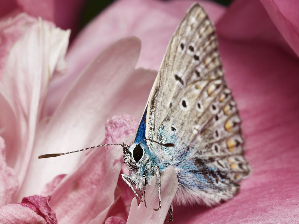 Photograph by Роман Турсков