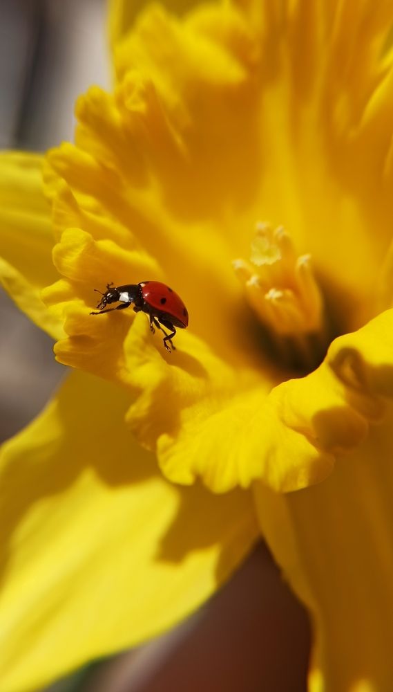 Photograph by Анна Валерьевна