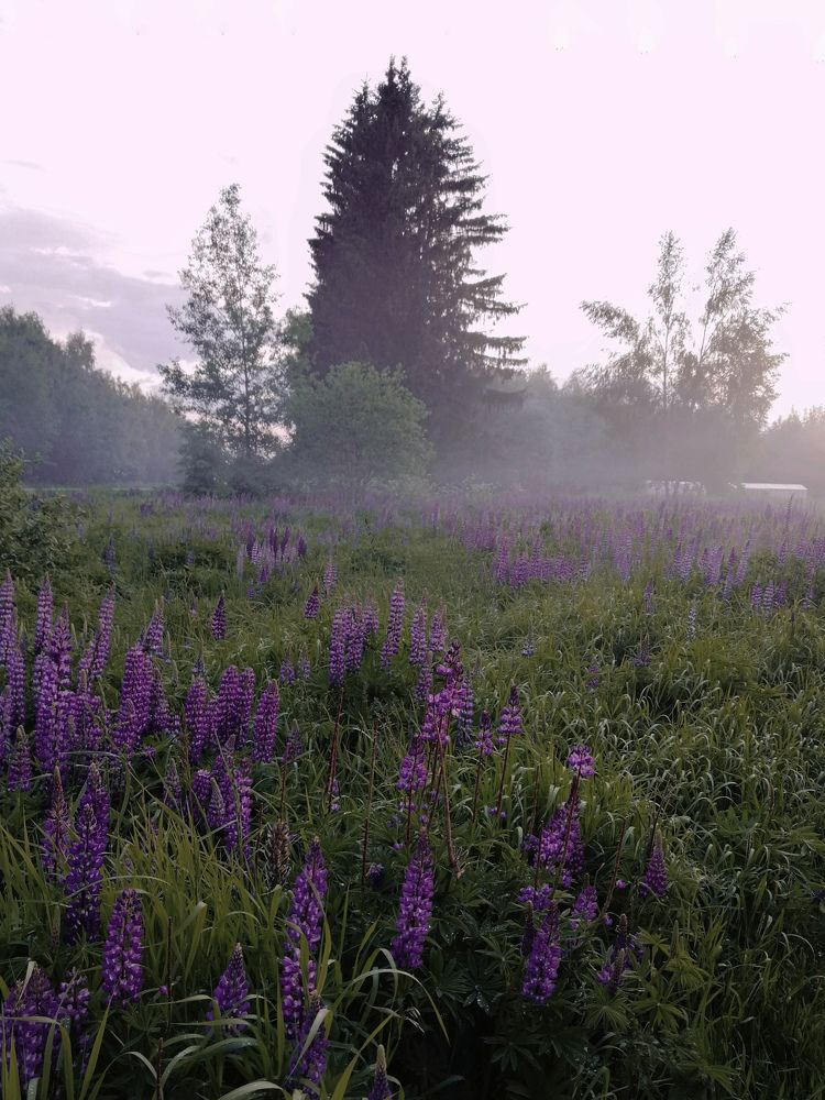 Photograph by Марцева Татьяна