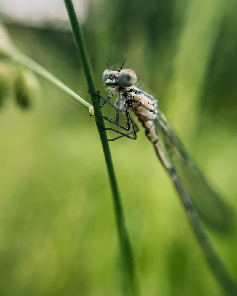 Photograph by Марина Тверитнева