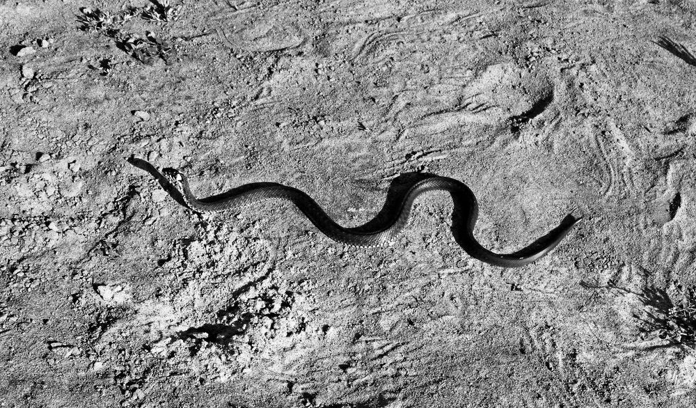 Photograph by Александр Бугаенко