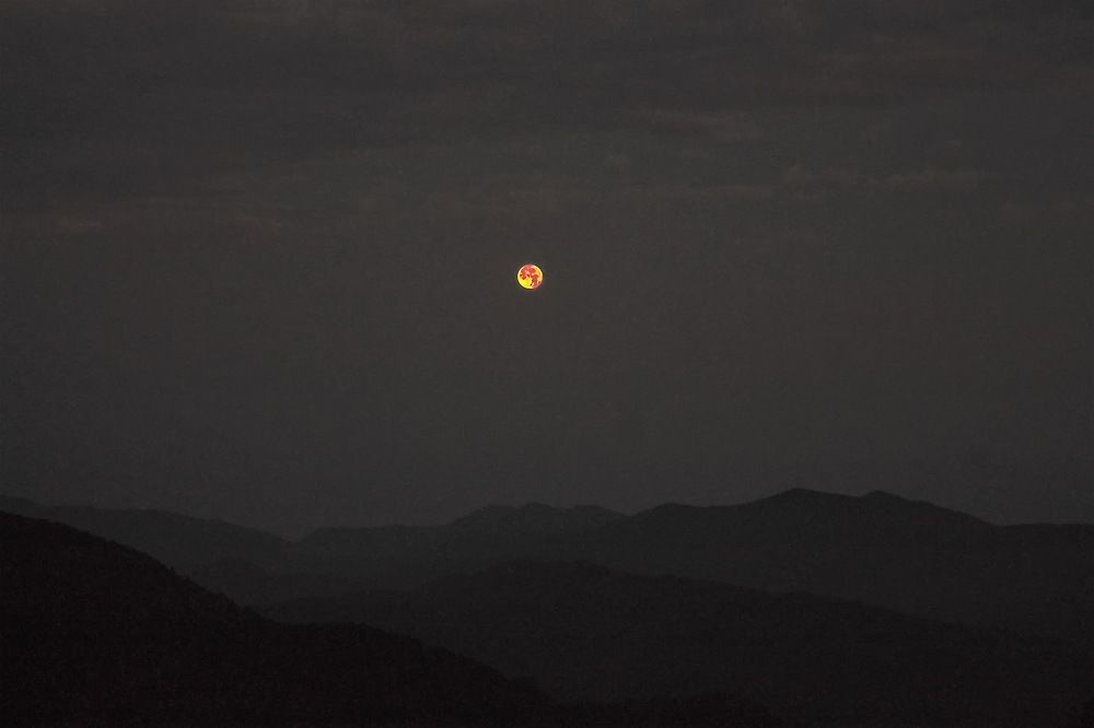 Photograph by Roman Popov