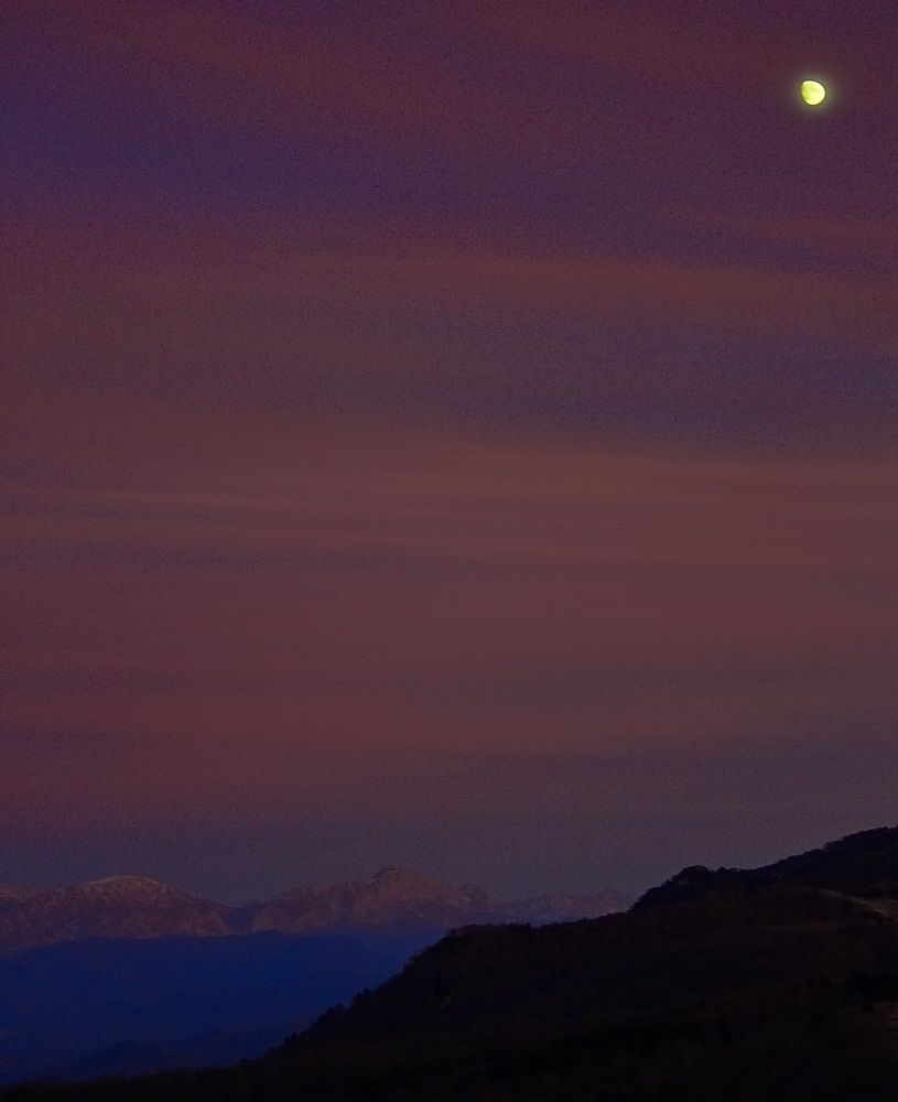 Photograph by Roman Popov