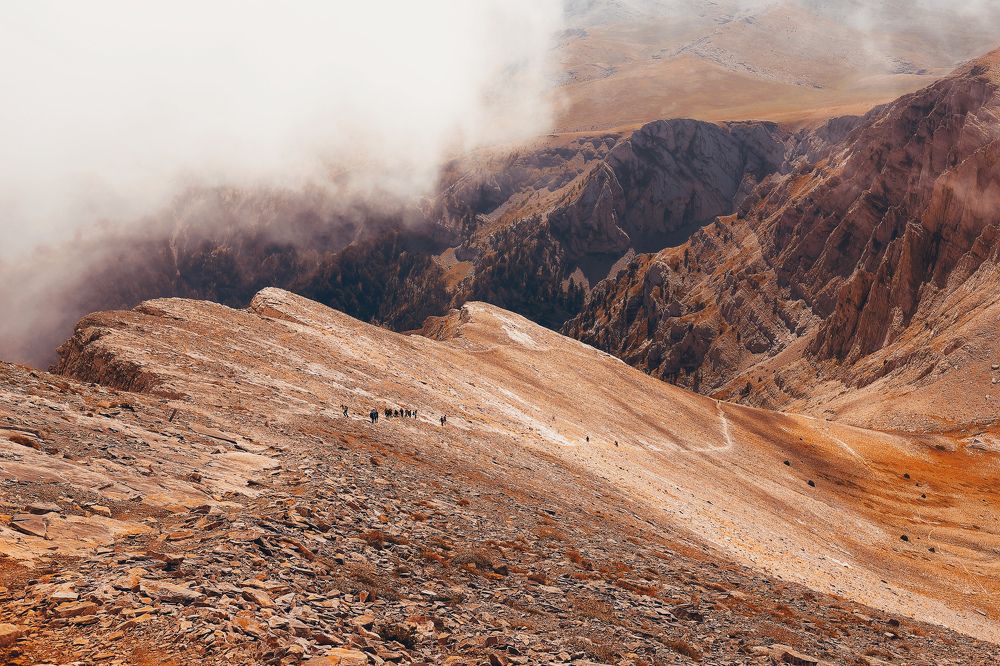 Фотография автора Foto