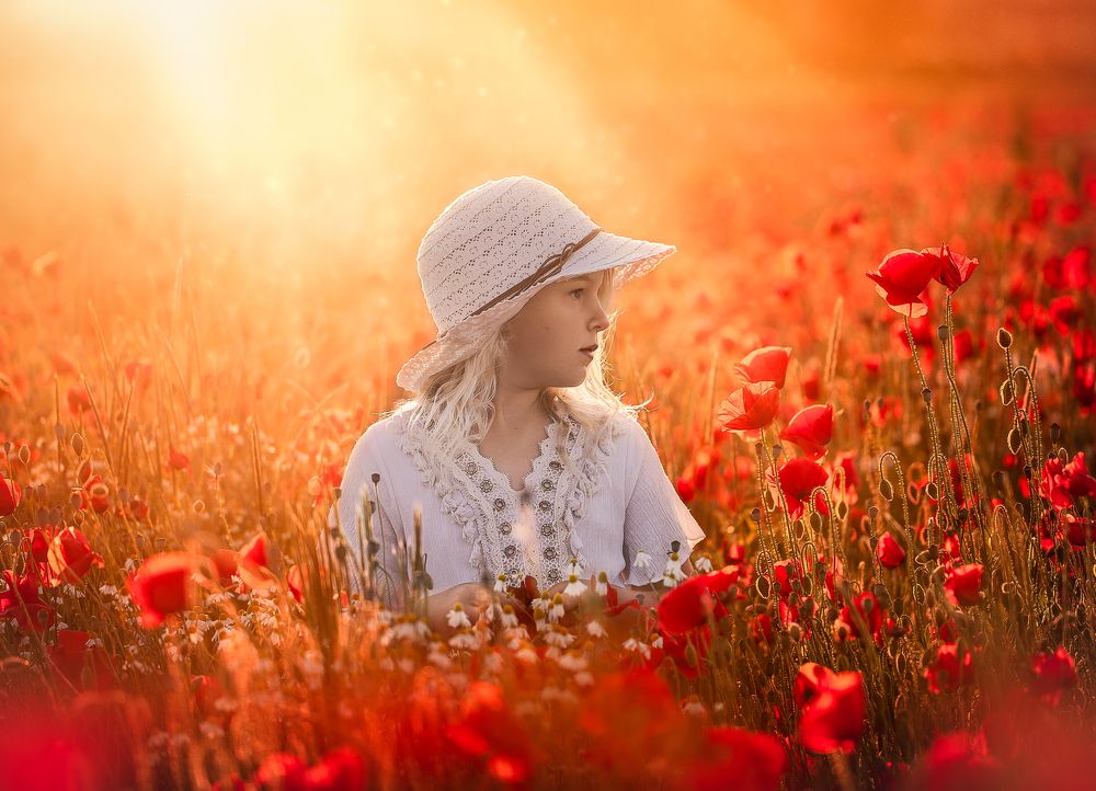 Photograph by Nicole Traubenek