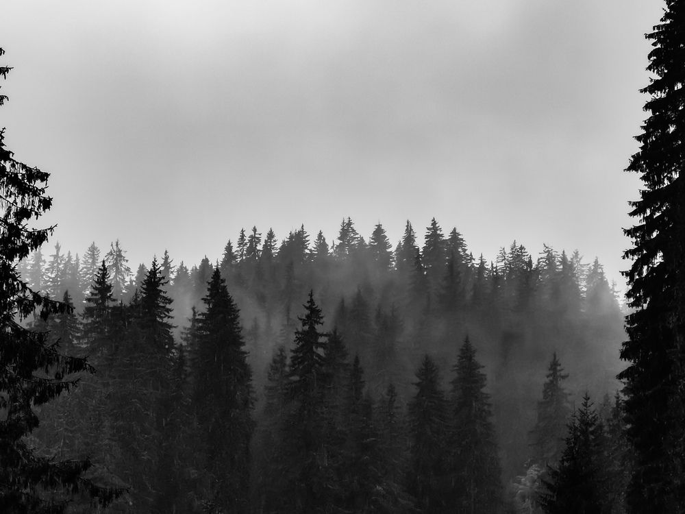 Photograph by Nikolay Draganov