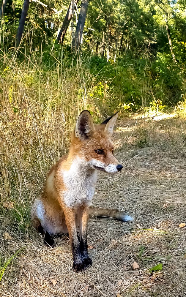 Photograph by Луценко Роман