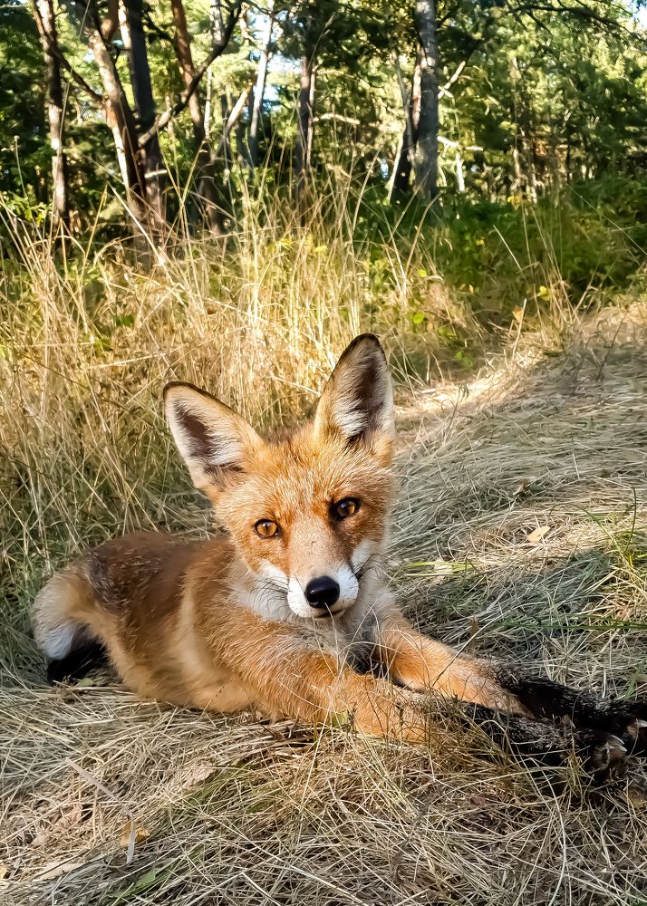 Photograph by Луценко Роман