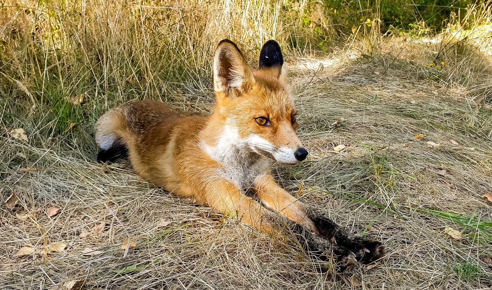 Photograph by Луценко Роман