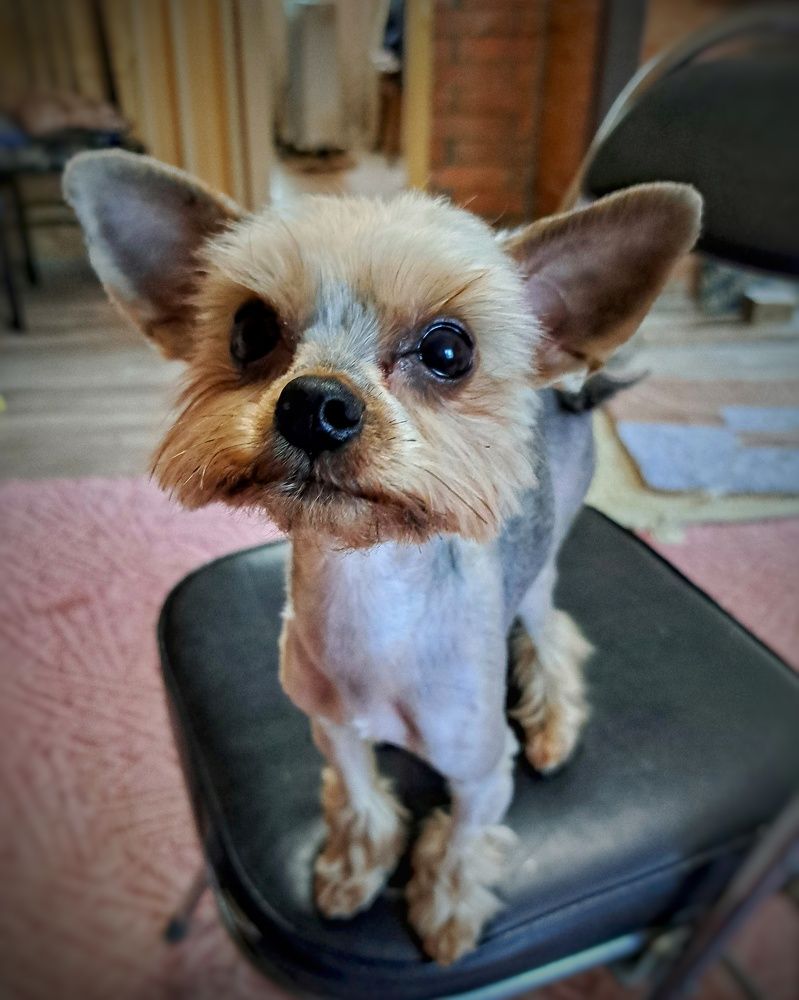 Photograph by Оксана