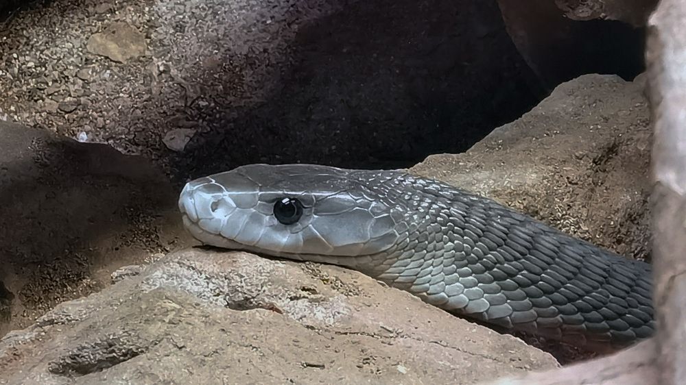 Фотография автора Алексей Головатый