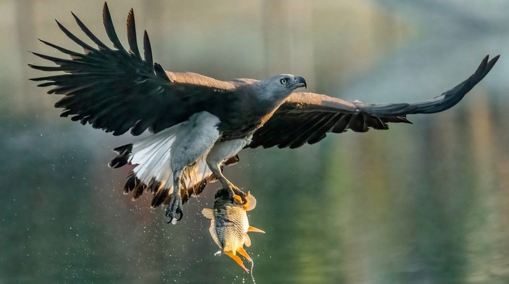 Photograph by Mahmudul Hasan