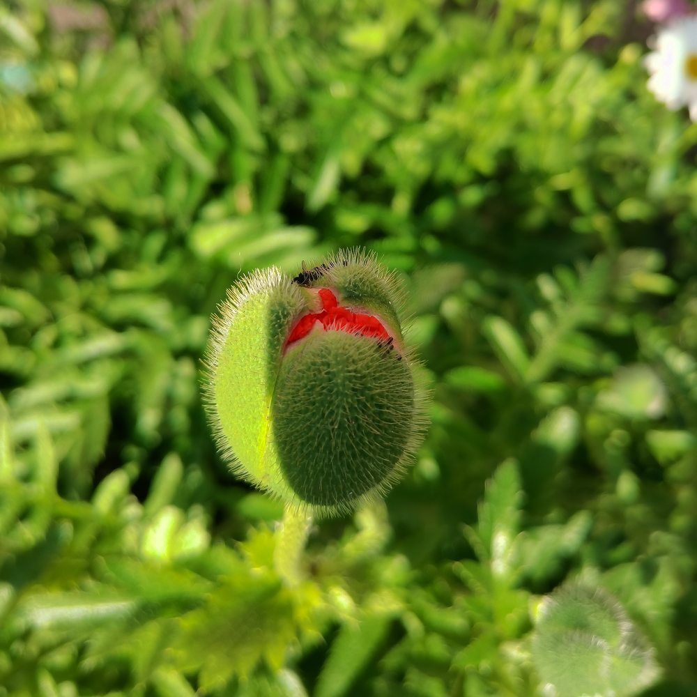 Photograph by Ольга Лукина