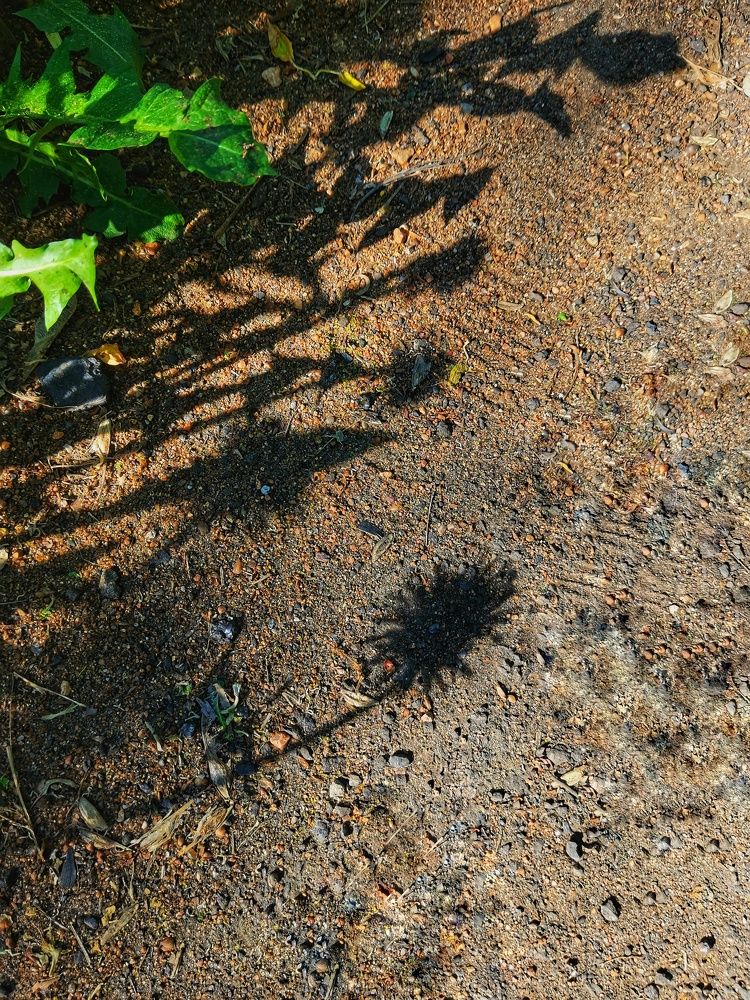 Photograph by Ольга Лукина