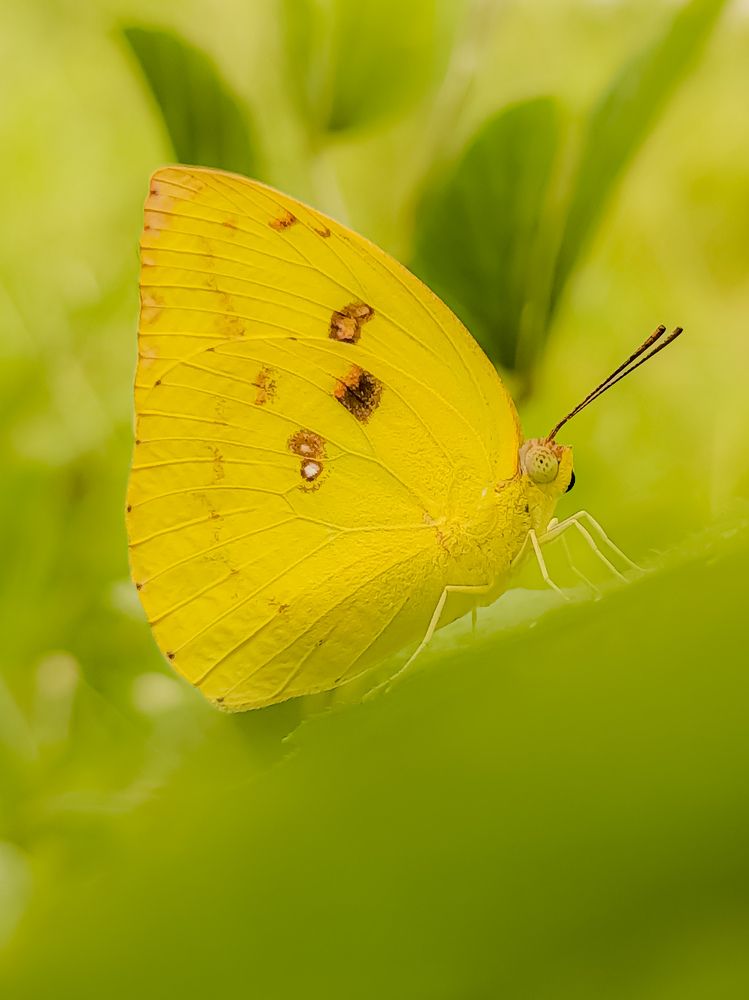 Photograph by Suryati Yati