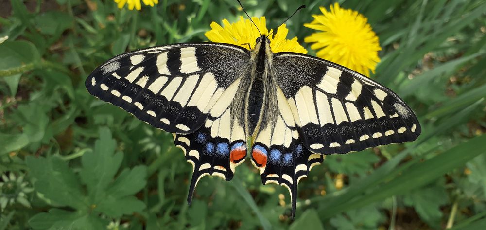 Photograph by Кристина Присяжная