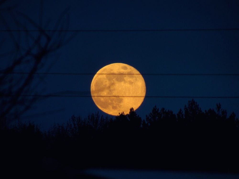 Photograph by Елизавета Большакова