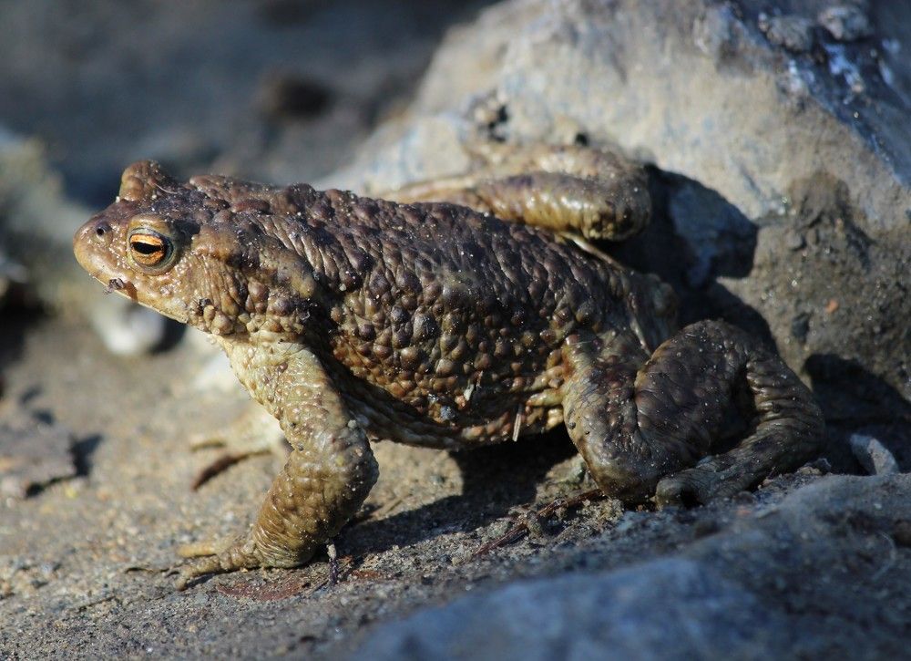 Photograph by Анна Колосова