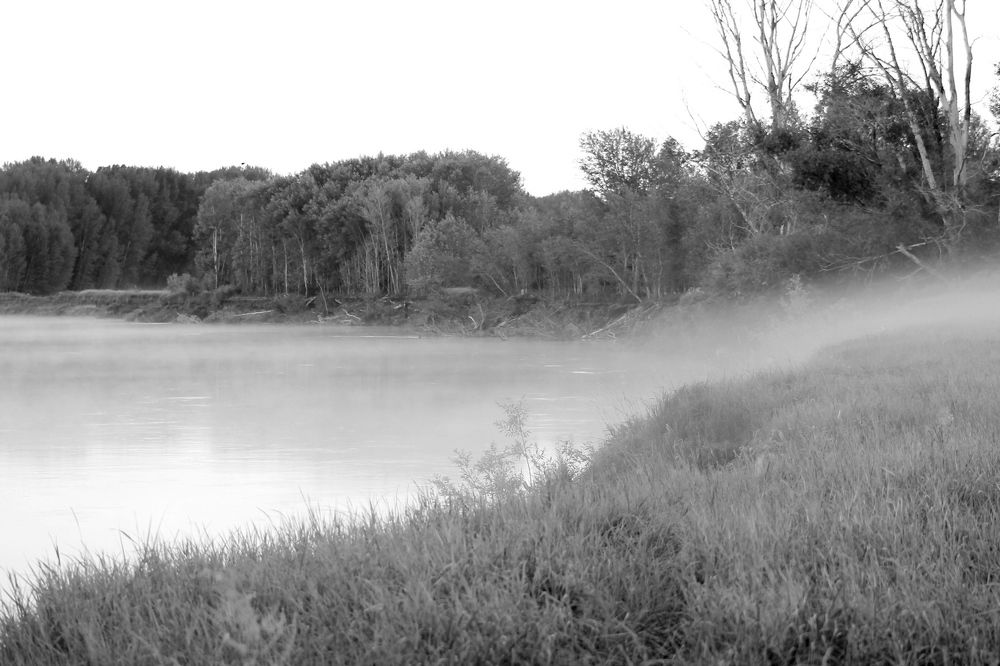 Photograph by Елена Глухарева