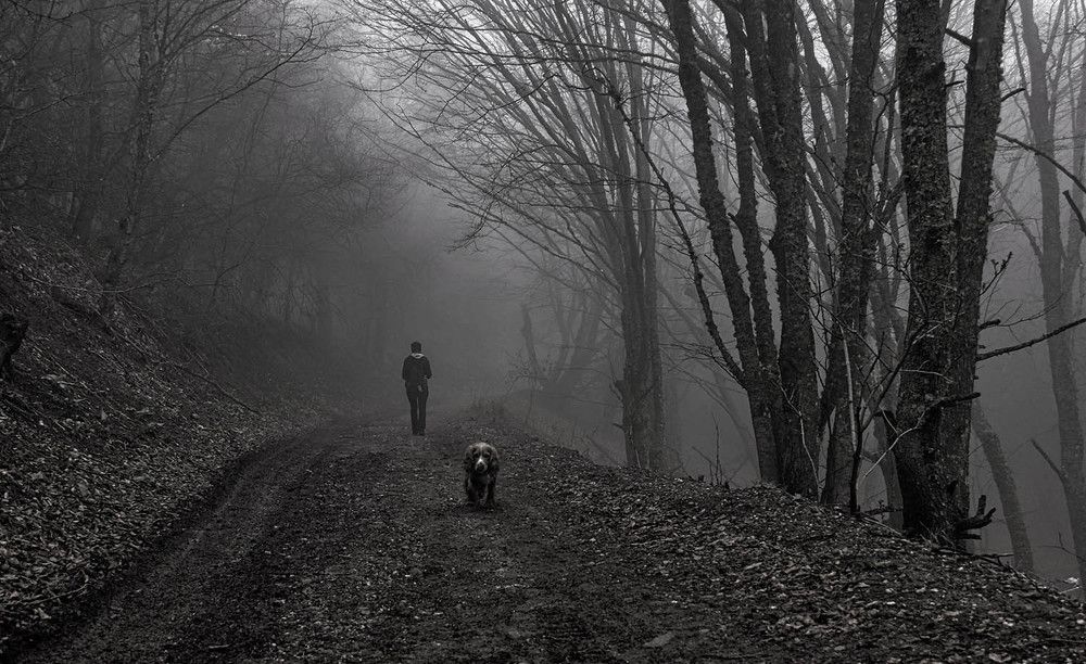 Photograph by Михаил Баевский